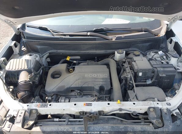 3GNAXSEV2LS685381 2020 CHEVROLET EQUINOX White Widok z tyłu