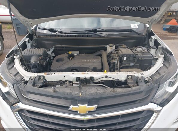 3GNAXSEV4LS724942 2020 CHEVROLET EQUINOX Белый Вид сзади