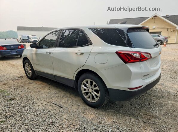 3GNAXSEVXLS568552 2020 CHEVROLET EQUINOX Белый Задняя левая четверть