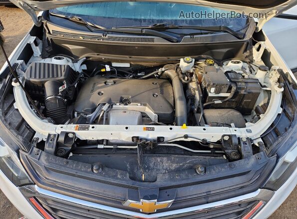 3GNAXVEXXLS556131 2020 CHEVROLET EQUINOX White უკანა სალონის ხედი