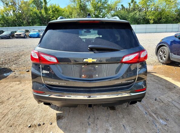 3GNAXYEX7KS655991 2019 CHEVROLET EQUINOX Серый Вид сзади