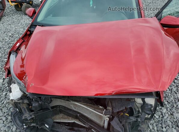 3KPF24AD2RE740229 2024 KIA FORTE Red Widok wnętrza z tyłu
