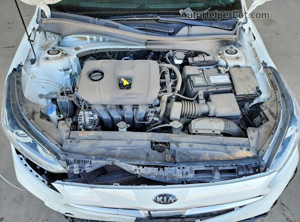 3KPF24AD4ME275798 2021 KIA FORTE White Սալոնի հետևի տեսք