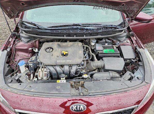 3KPFK4A75HE031867 2017 KIA FORTE Фиолетовый Вид задней части салона