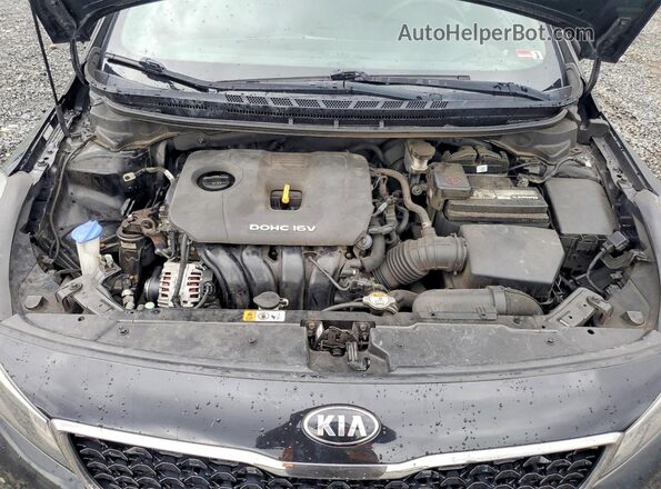 3KPFK4A76HE063372 2017 KIA FORTE Black Widok wnętrza z tyłu