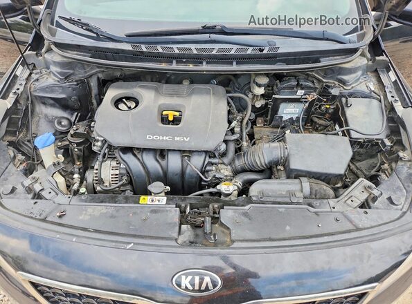3KPFK4A78HE016652 2017 KIA FORTE Black უკანა სალონის ხედი