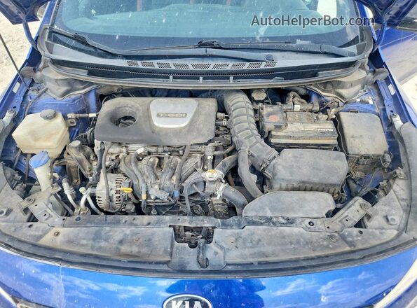 3KPFN5A39HE064459 2017 KIA FORTE Blue უკანა სალონის ხედი