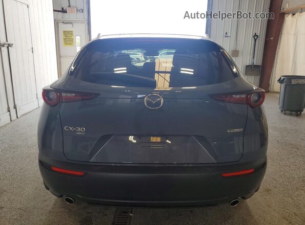 3MVDMBCM1SM836821 2025 MAZDA CX-30 Gray Вид ззаду