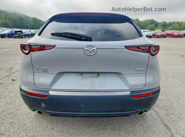 3MVDMBCM9SM769725 2025 MAZDA CX-30 Gray Вид ззаду
