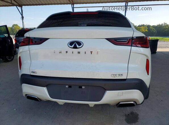 3PCAJ5JR3PF106496 2023 INFINITI QX55 White Հետևի տեսք