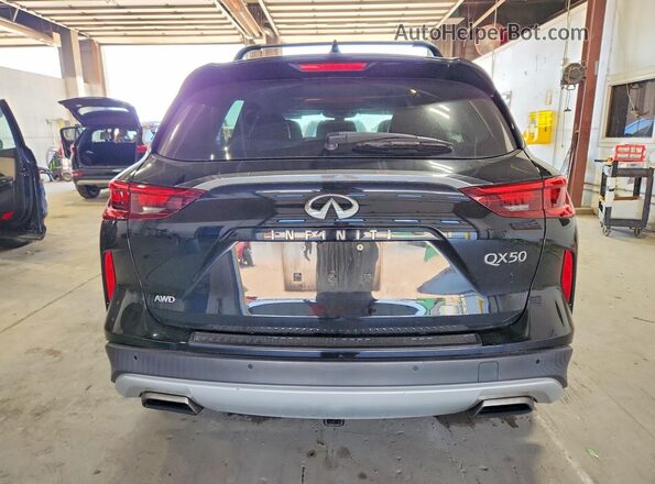 3PCAJ5M39KF122816 2019 INFINITI QX50 Черный Вид сзади