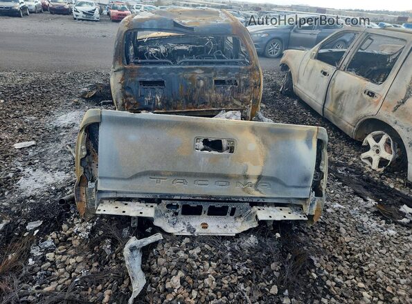 3TMCZ5AN3MM388337 2021 TOYOTA TACOMA Пожар Вид сзади