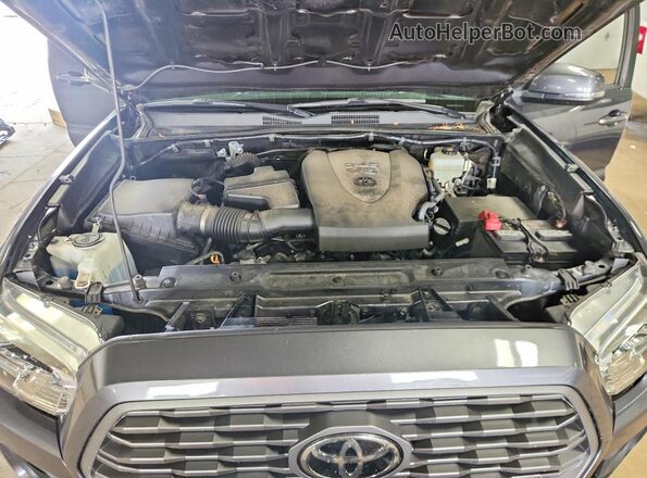 3TMCZ5AN4LM362893 2020 TOYOTA TACOMA Gray Vista interior trasera