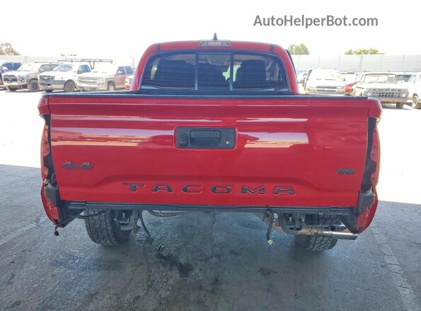 3TMCZ5AN5LM354026 2020 TOYOTA TACOMA Красный Вид сзади
