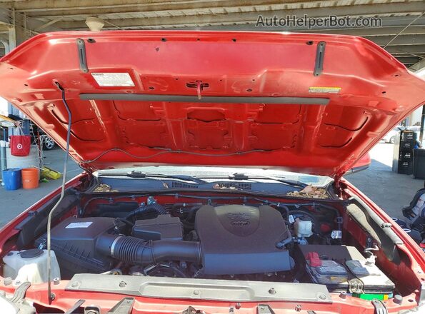 3TMCZ5AN5LM354026 2020 TOYOTA TACOMA Красный Вид задней части салона