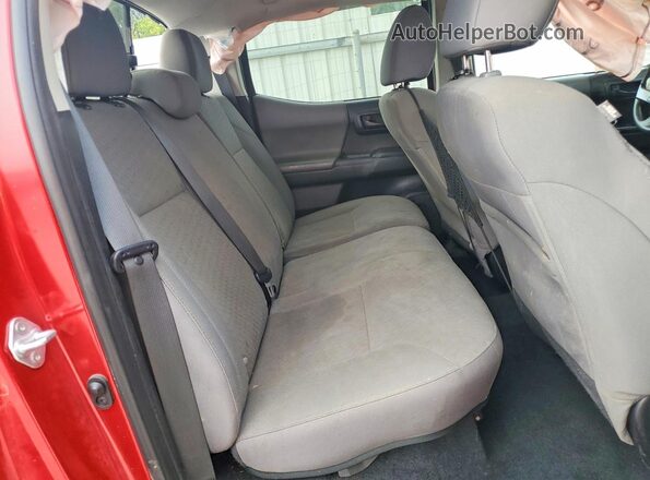 3TMCZ5AN5MM447226 2021 TOYOTA TACOMA Красный Вид задних сидений