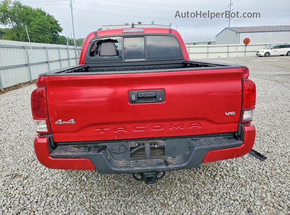 3TMCZ5AN5MM447226 2021 TOYOTA TACOMA Красный Вид сзади
