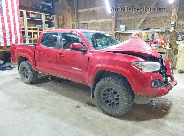 3TMCZ5AN8LM351556 2020 TOYOTA TACOMA Red წინა მარჯვენა