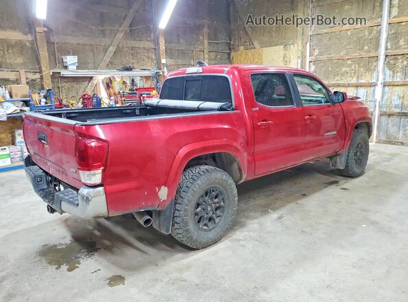 3TMCZ5AN8LM351556 2020 TOYOTA TACOMA Red უკანა მარჯვენა