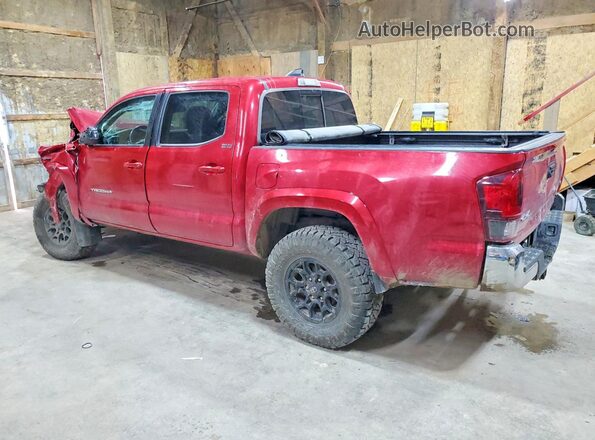 3TMCZ5AN8LM351556 2020 TOYOTA TACOMA Red უკანა მარცხენა
