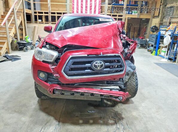 3TMCZ5AN8LM351556 2020 TOYOTA TACOMA Red წინა ხედი