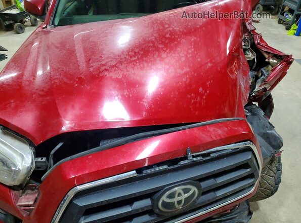 3TMCZ5AN8LM351556 2020 TOYOTA TACOMA Red უკანა სალონის ხედი