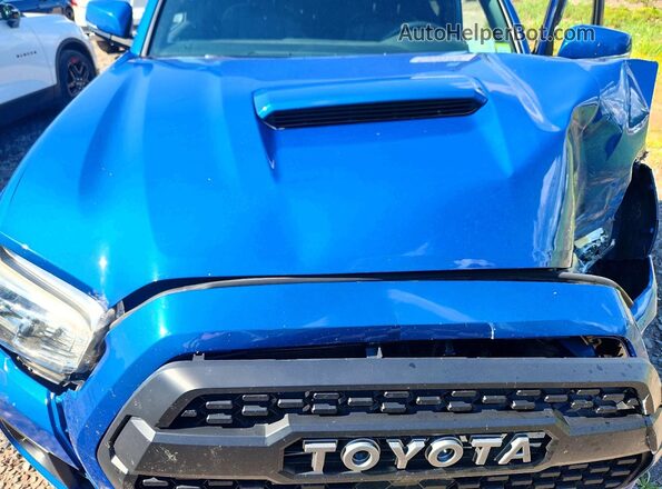 3TMDZ5BN0JM052367 2018 TOYOTA TACOMA Blue Սալոնի հետևի տեսք