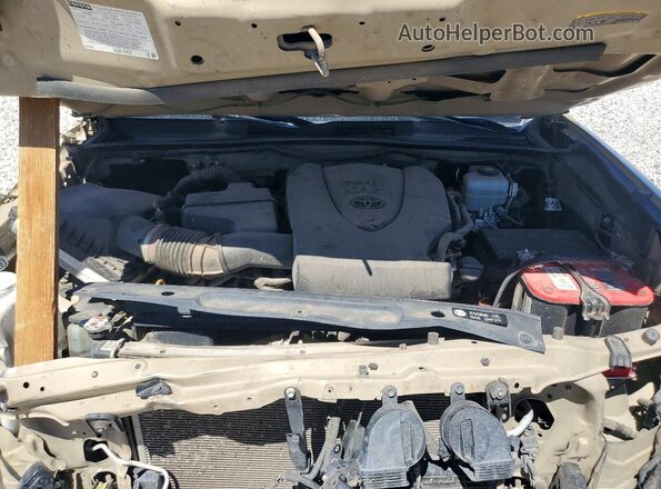 3TMDZ5BN4JM038424 2018 TOYOTA TACOMA Tan უკანა სალონის ხედი