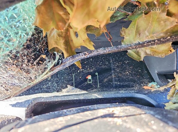3TMLB5JN1RM011999 2024 TOYOTA TACOMA Gray Սարքավորումների վահանակի տեսք
