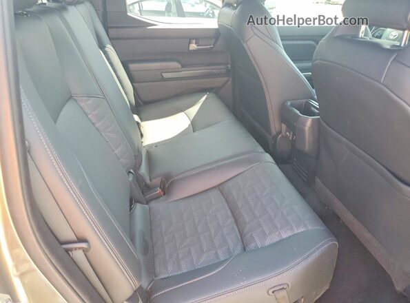 3TMLB5JN4RM048481 2024 TOYOTA TACOMA Beige Вид задніх сидінь