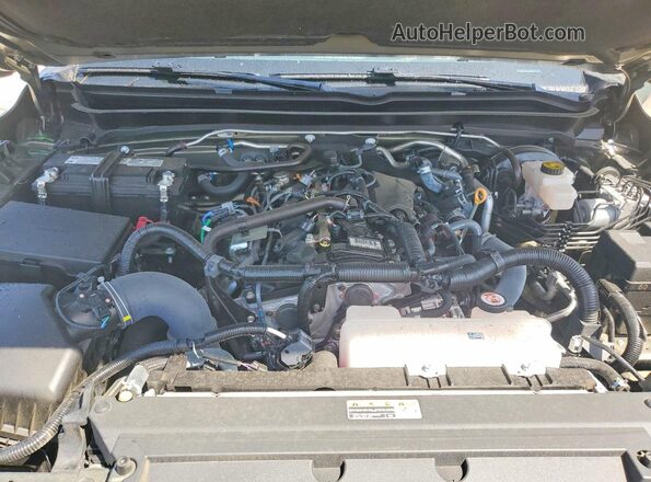3TMLB5JN4RM048481 2024 TOYOTA TACOMA Beige Вид задньої частини салону