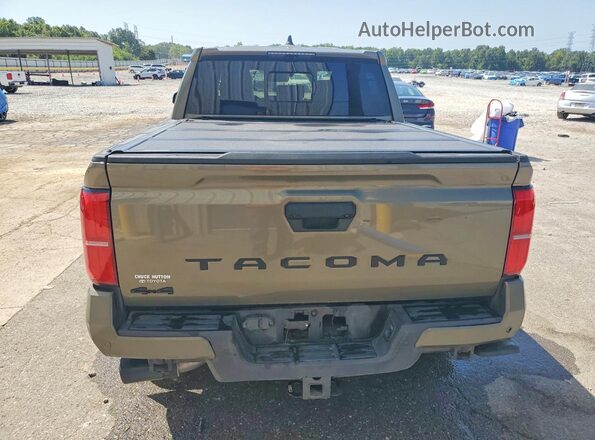 3TMLB5JN4RM048481 2024 TOYOTA TACOMA Beige Вид ззаду