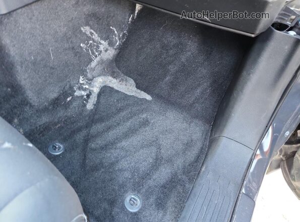 3TMLB5JN4SM181232 2025 TOYOTA TACOMA Gray Вид задніх сидінь