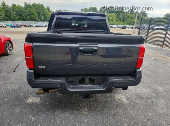 3TMLB5JN5SM106247 2025 TOYOTA TACOMA Gray Vista trasera