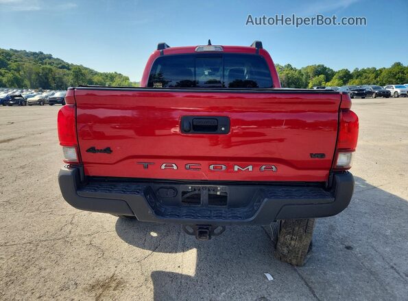 3TYCZ5AN2MT052991 2021 TOYOTA TACOMA Red Widok z tyłu