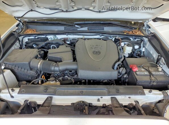 3TYCZ5ANXPT177435 2023 TOYOTA TACOMA White Widok wnętrza z tyłu