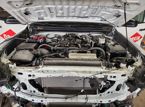 3TYJDAHN2RT006394 2024 TOYOTA TACOMA White 