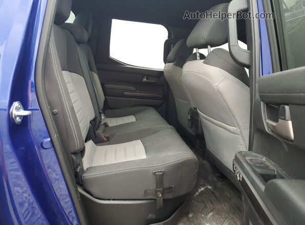 3TYKB5FN6ST019823 2025 TOYOTA TACOMA Blue Rear seats view