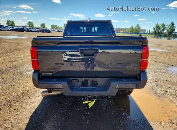 3TYLB5JN4ST089381 2025 TOYOTA TACOMA Gray Հետևի տեսք