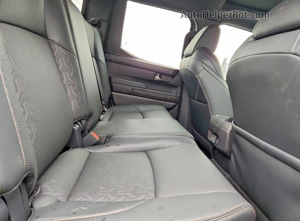 3TYLC5LN6ST039088 2025 TOYOTA TACOMA Tan Вид задніх сидінь