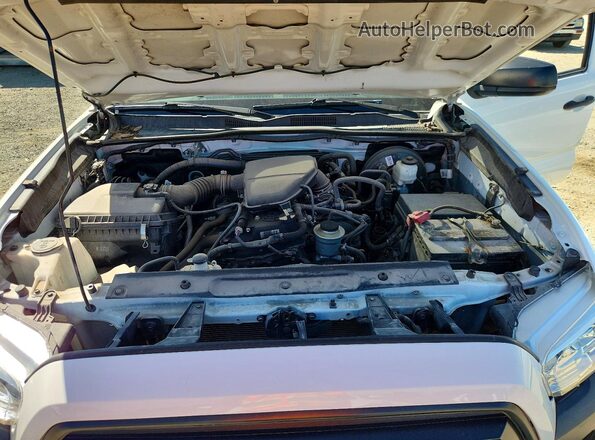 3TYRX5GN8MT023843 2021 TOYOTA TACOMA Белый Вид задней части салона