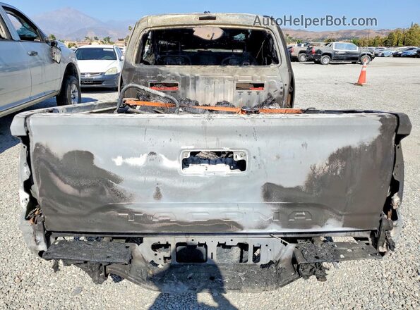3TYRX5GNXPT080629 2023 TOYOTA TACOMA White Widok z tyłu