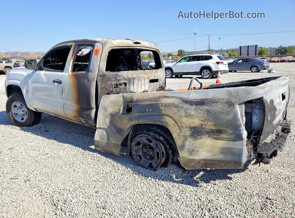 3TYRX5GNXPT080629 2023 TOYOTA TACOMA White Tył lewy
