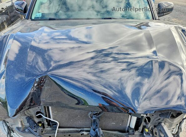 3TYSX5EN0MT009228 2021 TOYOTA TACOMA Черный Вид задней части салона