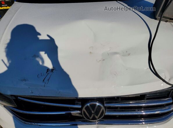 3VVMB7AX2RM080204 2024 VOLKSWAGEN TIGUAN Белый Вид задней части салона