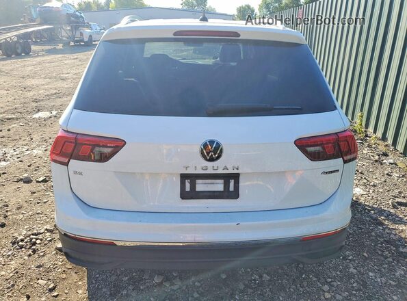 3VVMB7AX2RM080204 2024 VOLKSWAGEN TIGUAN Белый Вид сзади