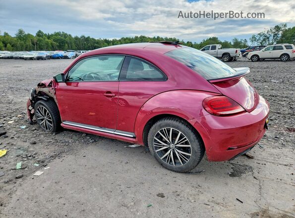 3VWF17AT7HM604434 2017 VOLKSWAGEN BEETLE Pink Rear left