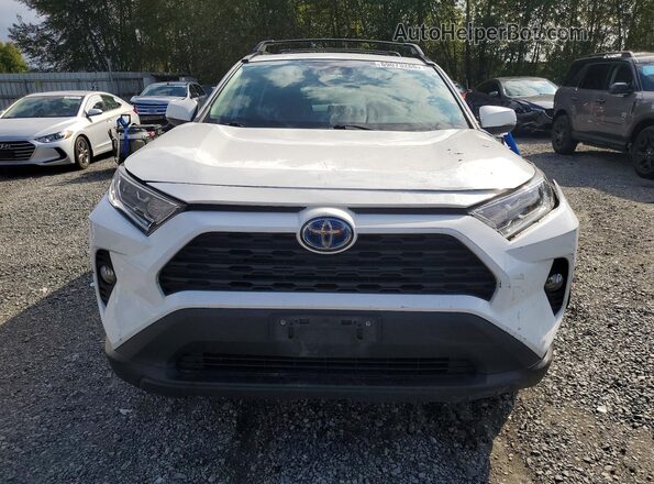 2T3RWRFV8LW072092 2020 TOYOTA RAV4 White Հետևի տեսք