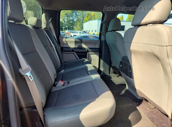 1FTEW1EP8GKD95611 2016 FORD F150 Черный Вид задней части салона