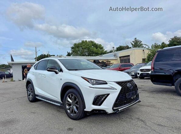 JTJJARBZ1L5009439 2020 LEXUS NX Белый Задняя левая четверть